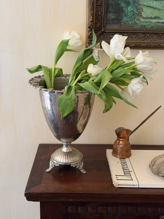 Vazǎ masivǎ argintatǎ rarǎ