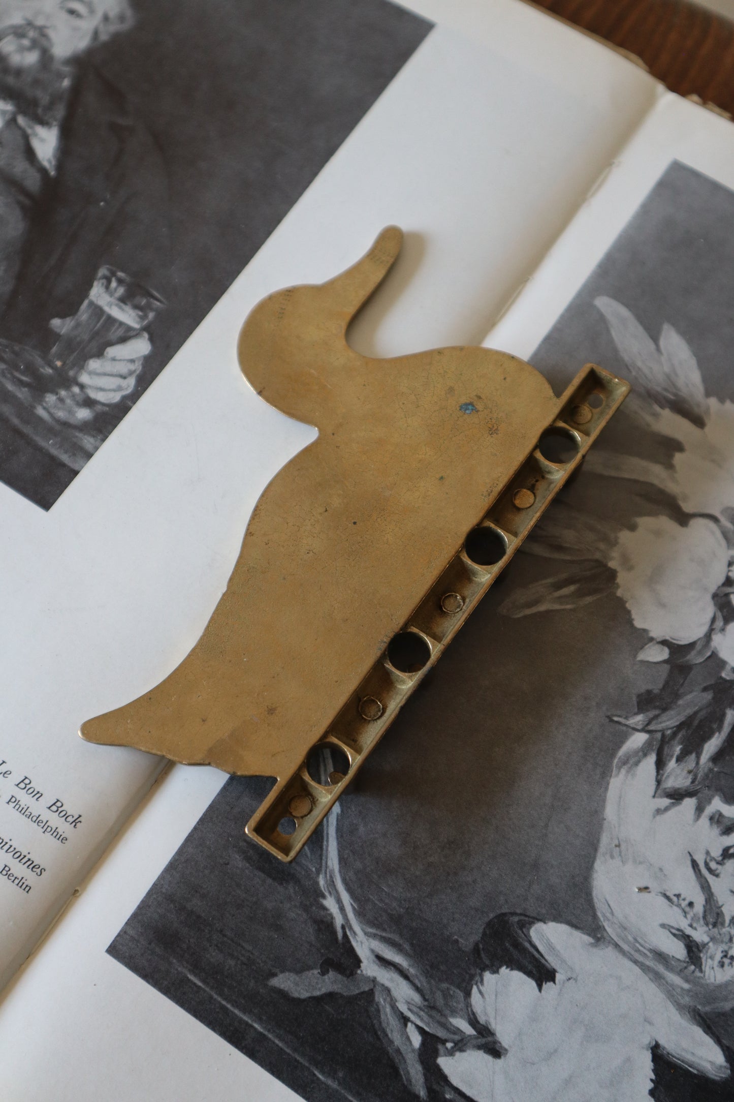 Cuier din alamă formă rațușcă