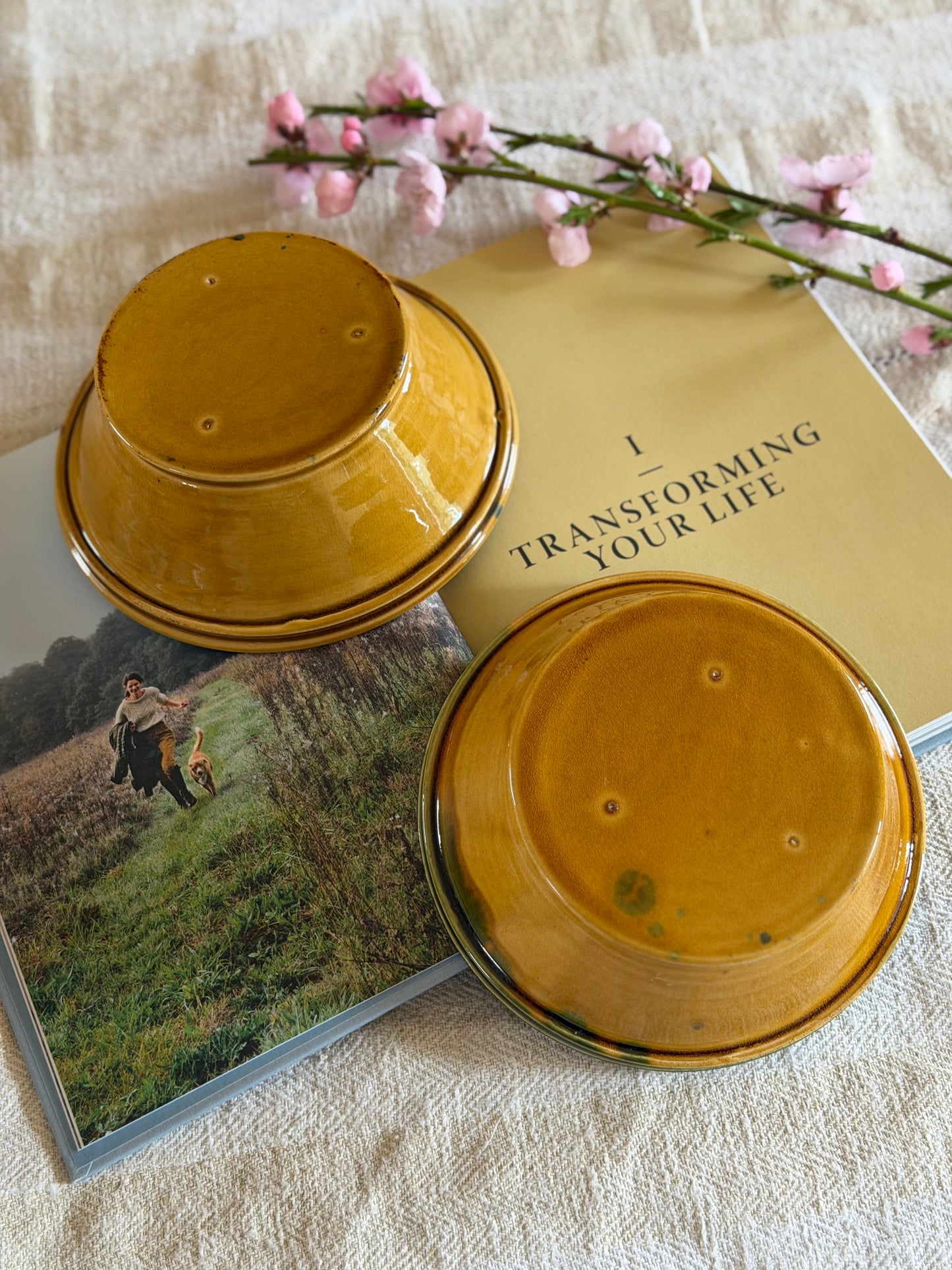 Set 2 boluri din ceramica glazurată