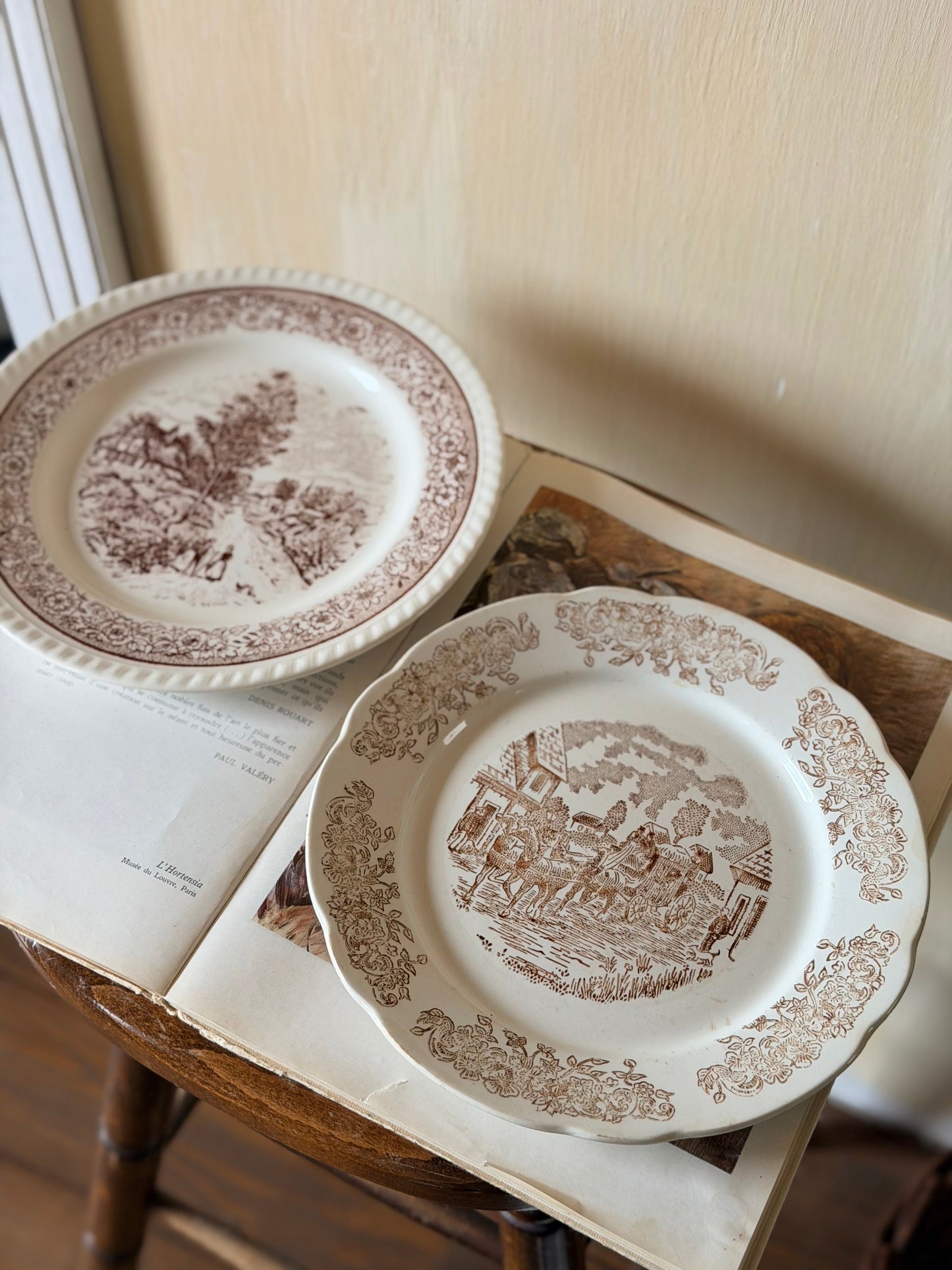 Set de 2 farfurii mix&match cu peisagistică