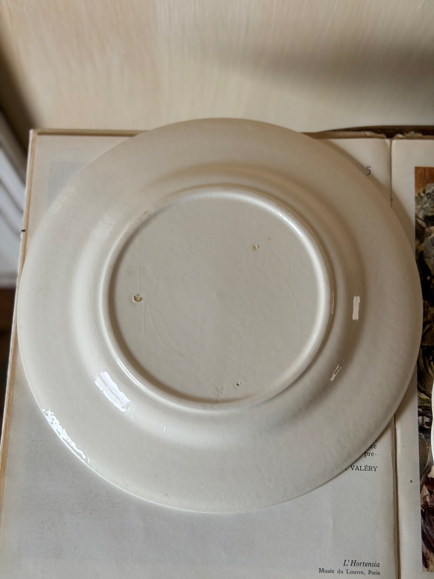 Set de 2 farfurii mix&match cu peisagistică