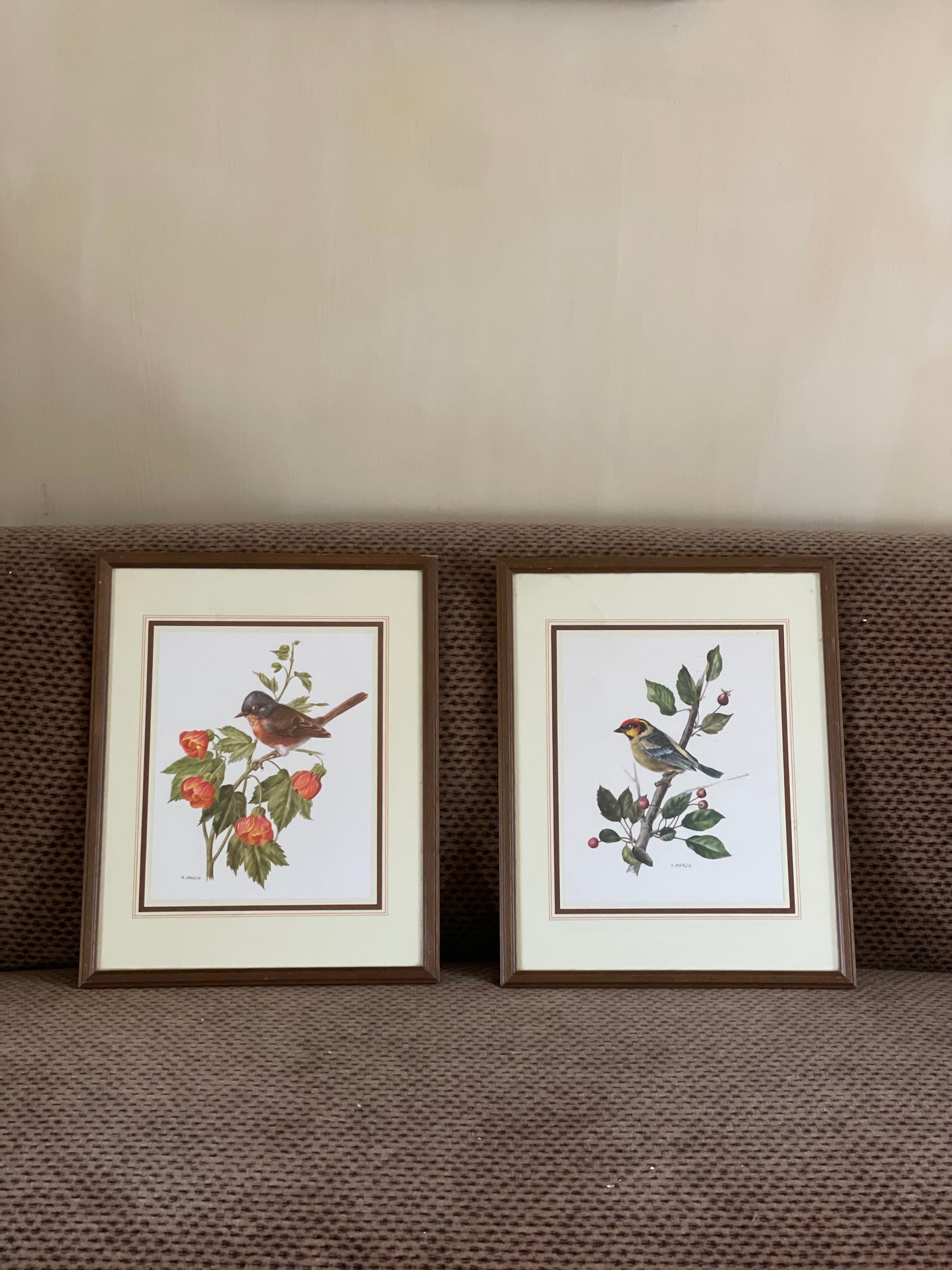 Tablouri vintage păsări A. Marlin înrămate