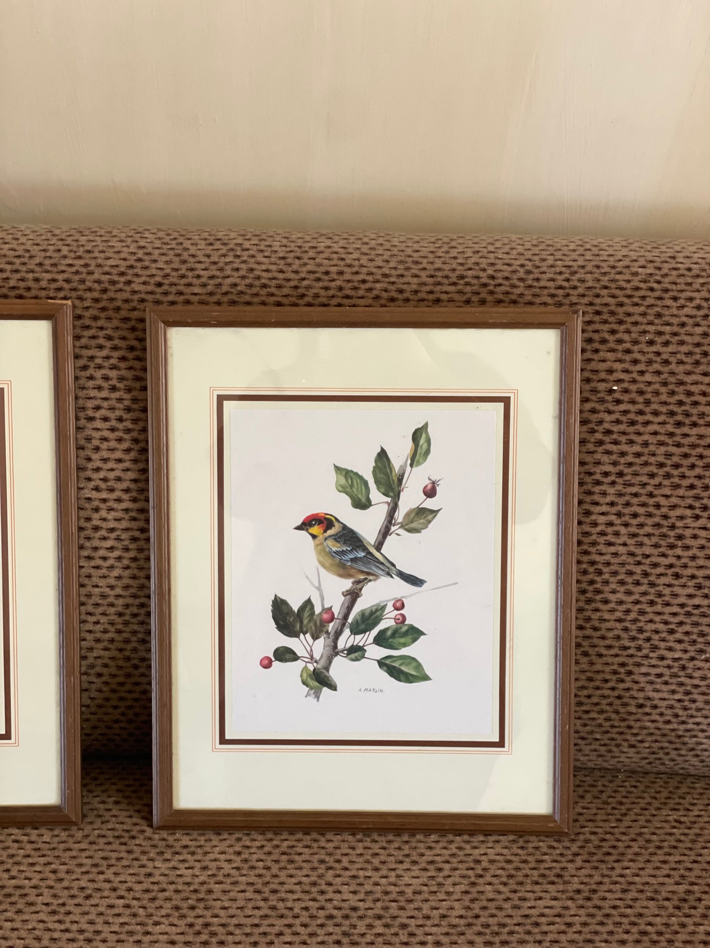 Tablouri vintage păsări A. Marlin înrămate