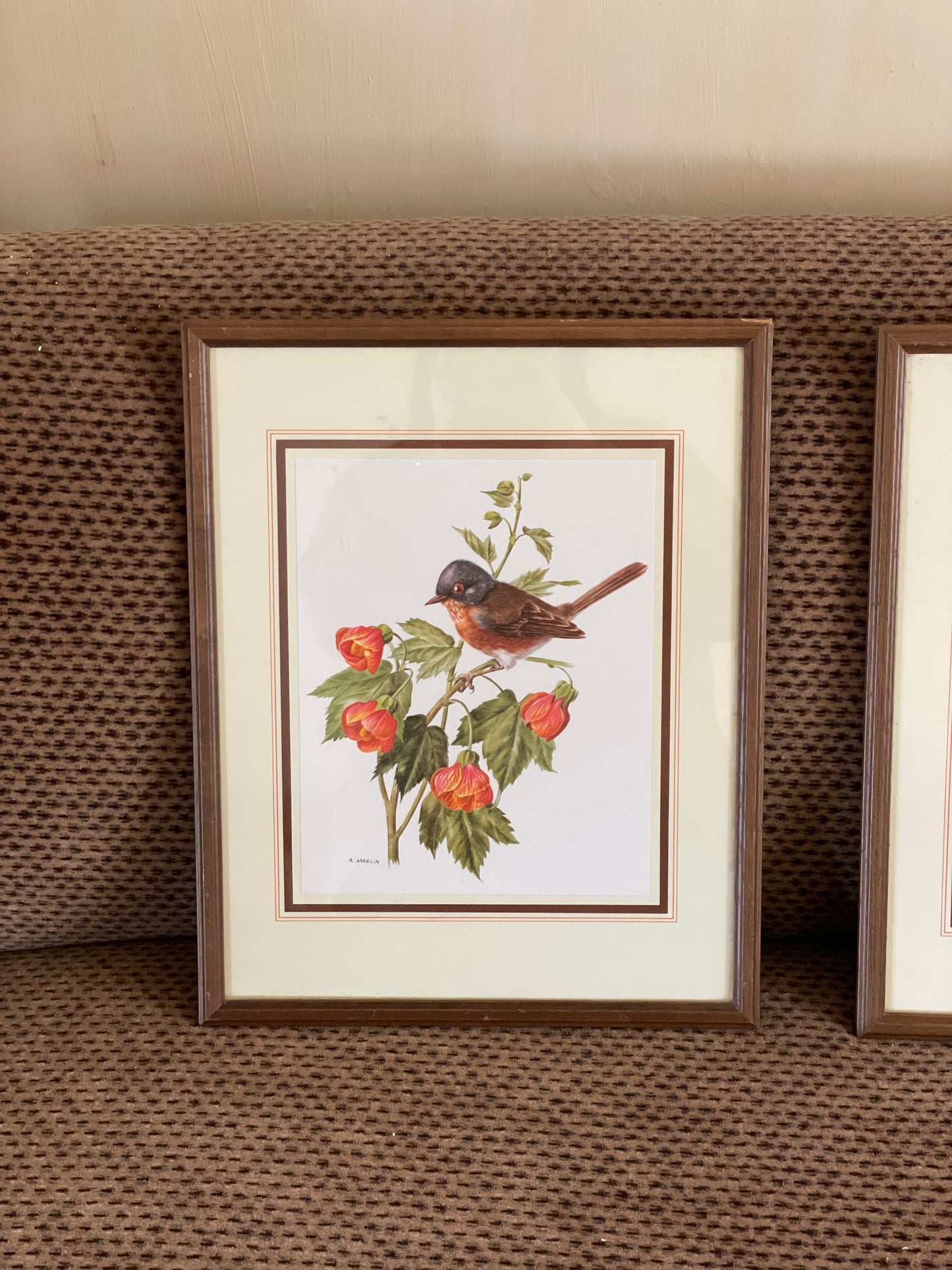 Tablouri vintage păsări A. Marlin înrămate