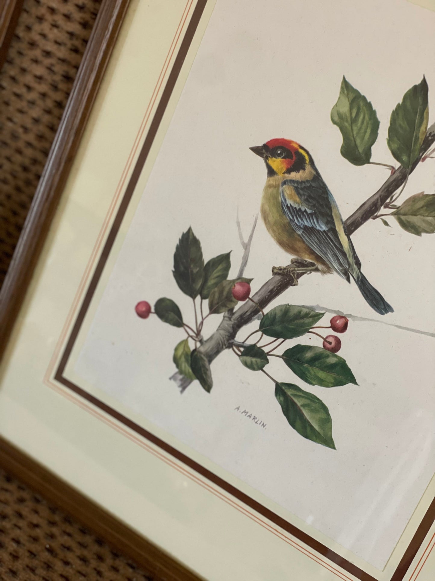 Tablouri vintage păsări A. Marlin înrămate