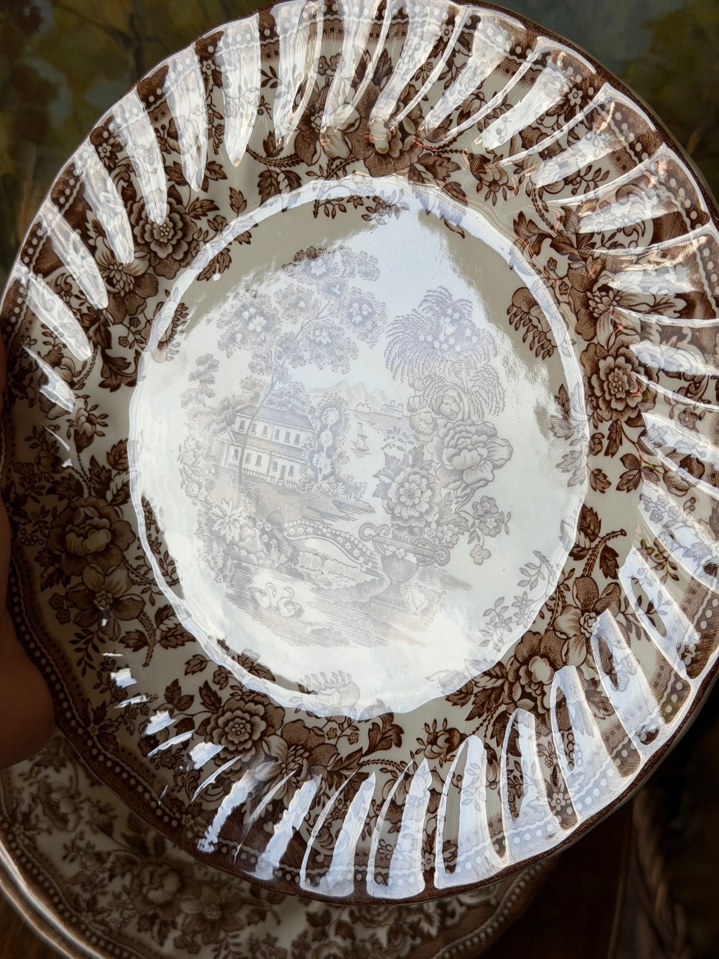 Farfurii de cină din ceramica, Mandarin by Myott
