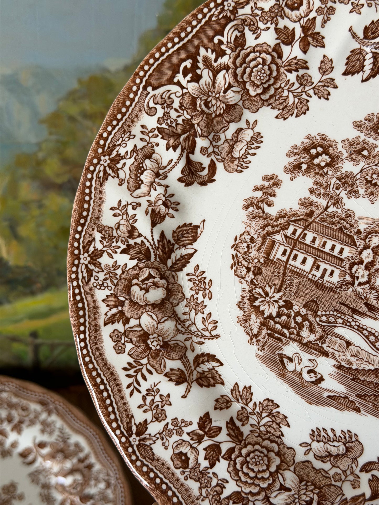 Farfurii de cină din ceramica, Mandarin by Myott