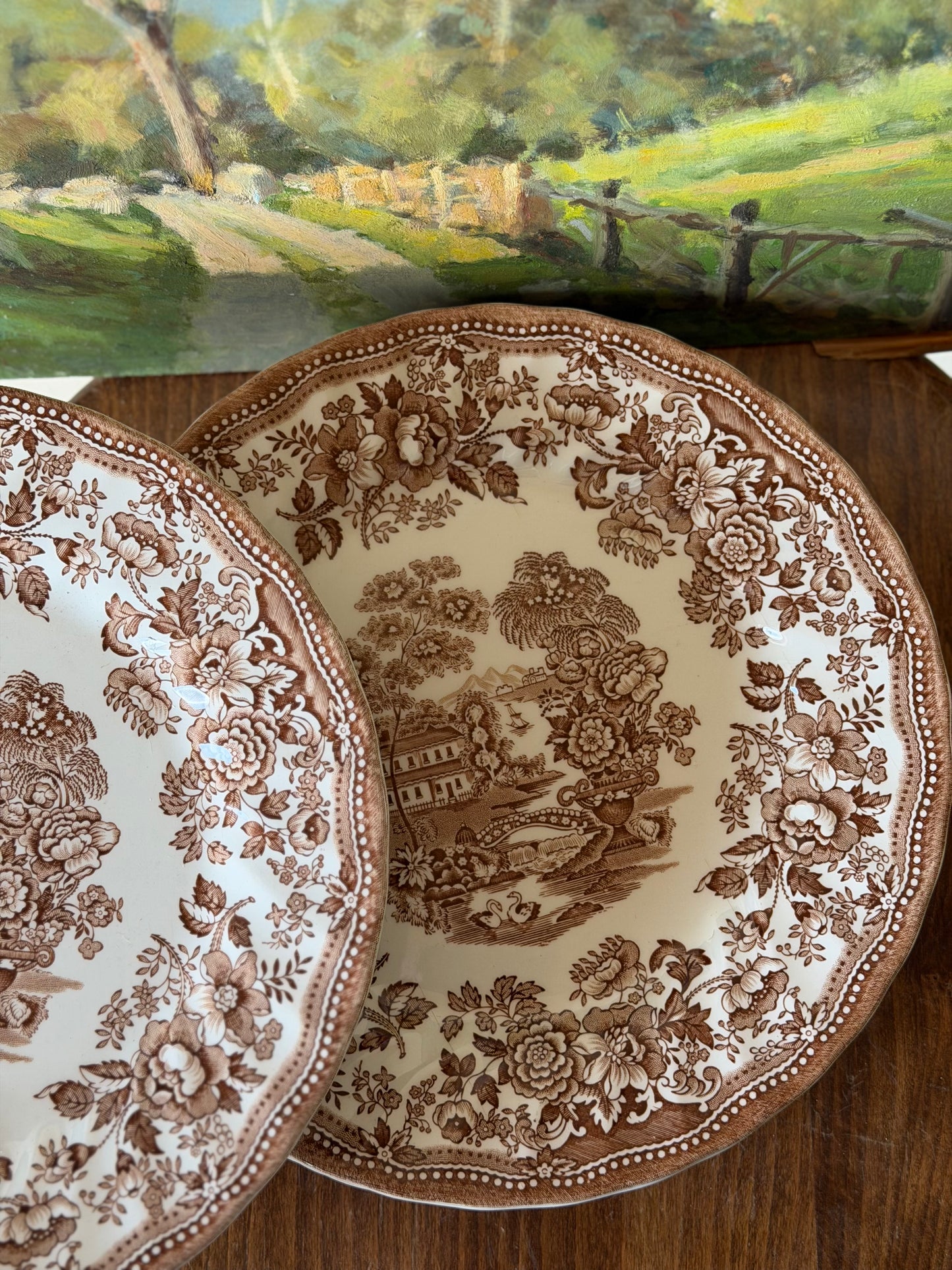 Farfurii de cină din ceramica, Mandarin by Myott