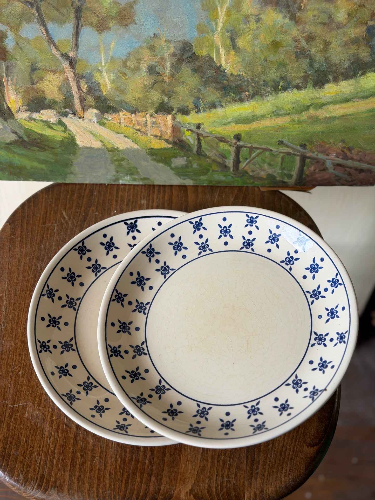 Set de 2 farfurii vintage din ceramica, Biltons England