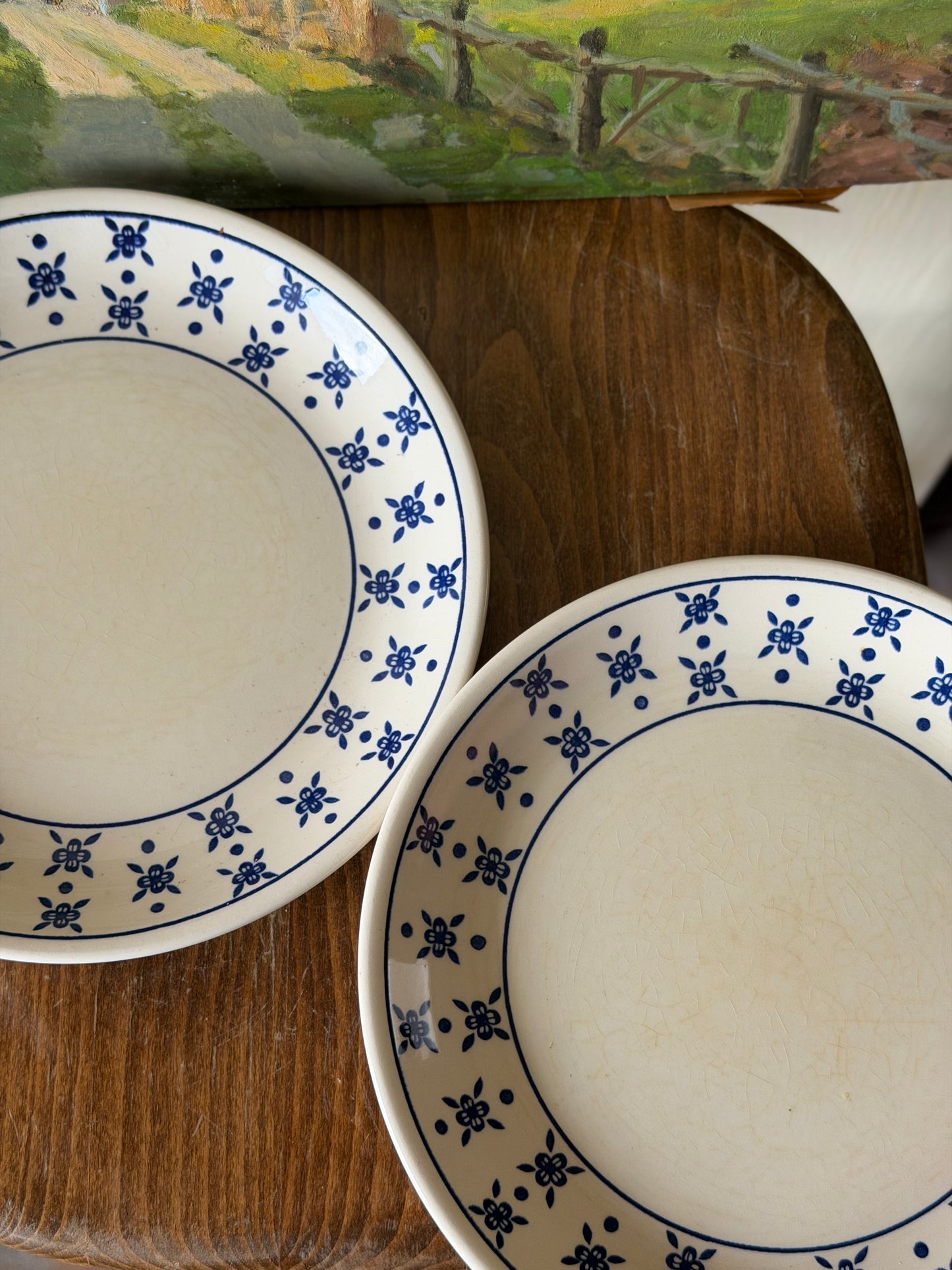 Set de 2 farfurii vintage din ceramica, Biltons England