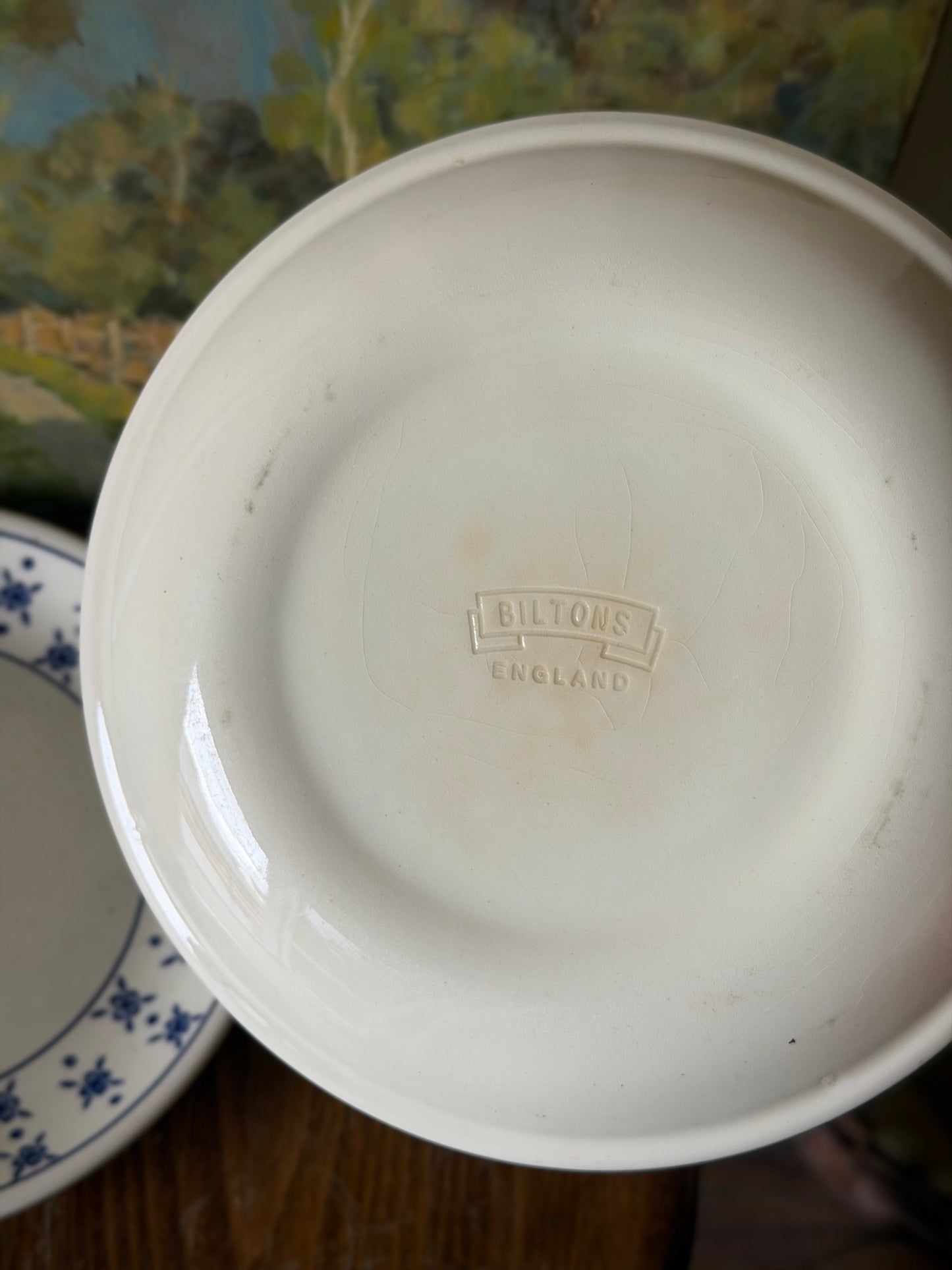 Set de 2 farfurii vintage din ceramica, Biltons England