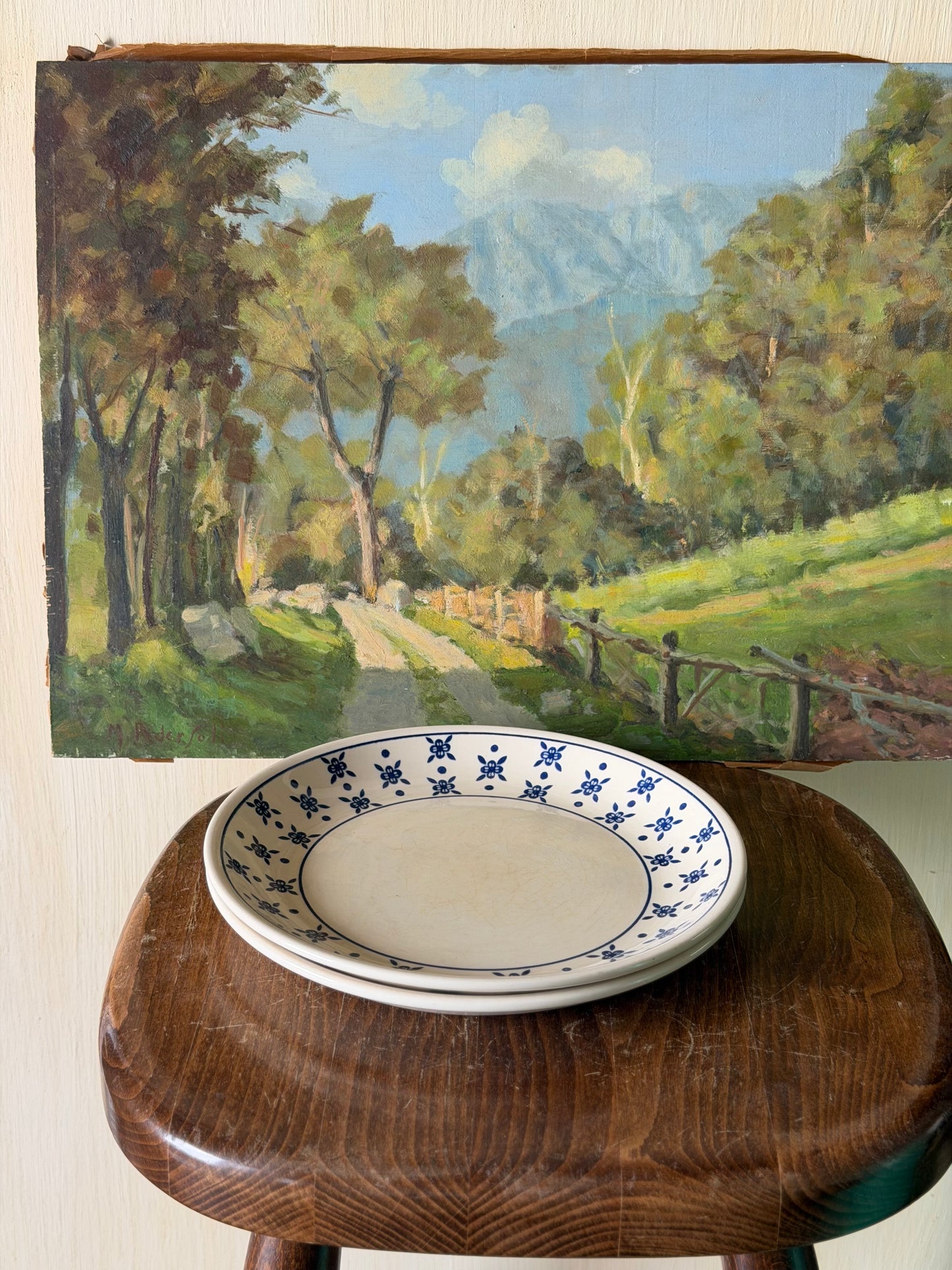 Set de 2 farfurii vintage din ceramica, Biltons England
