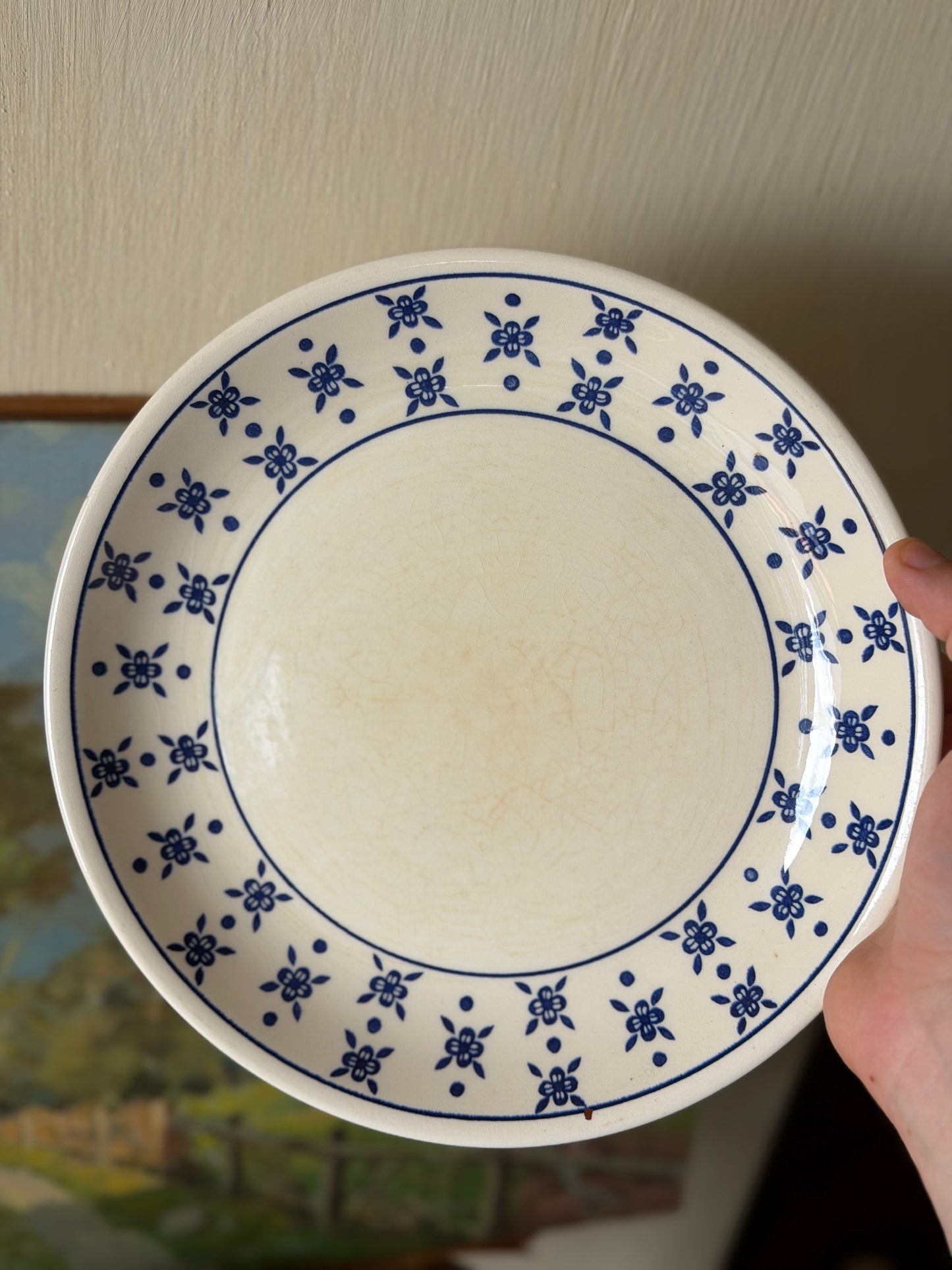 Set de 2 farfurii vintage din ceramica, Biltons England