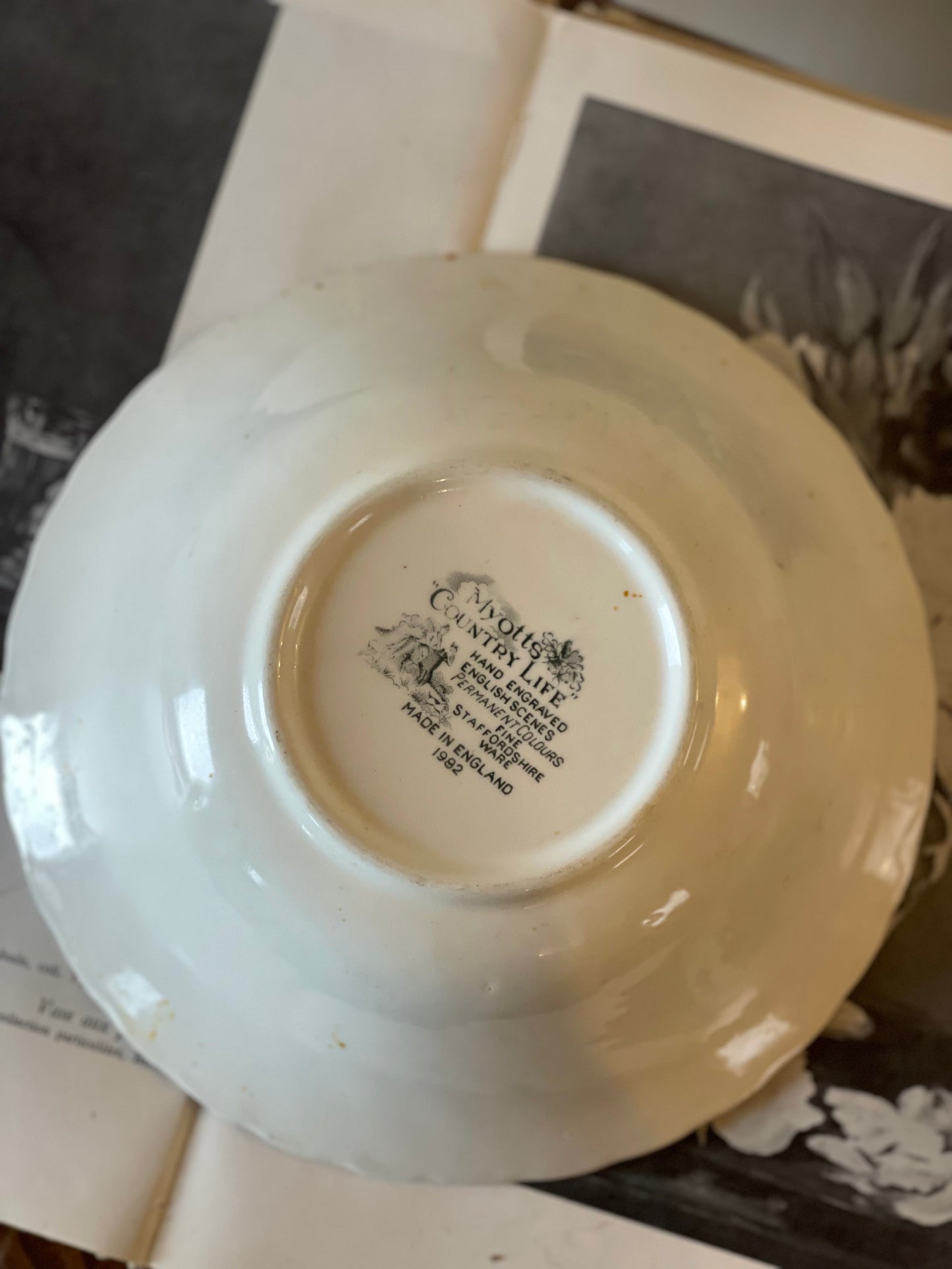 Bol vintage ceramică englezească Myotts-Country Life