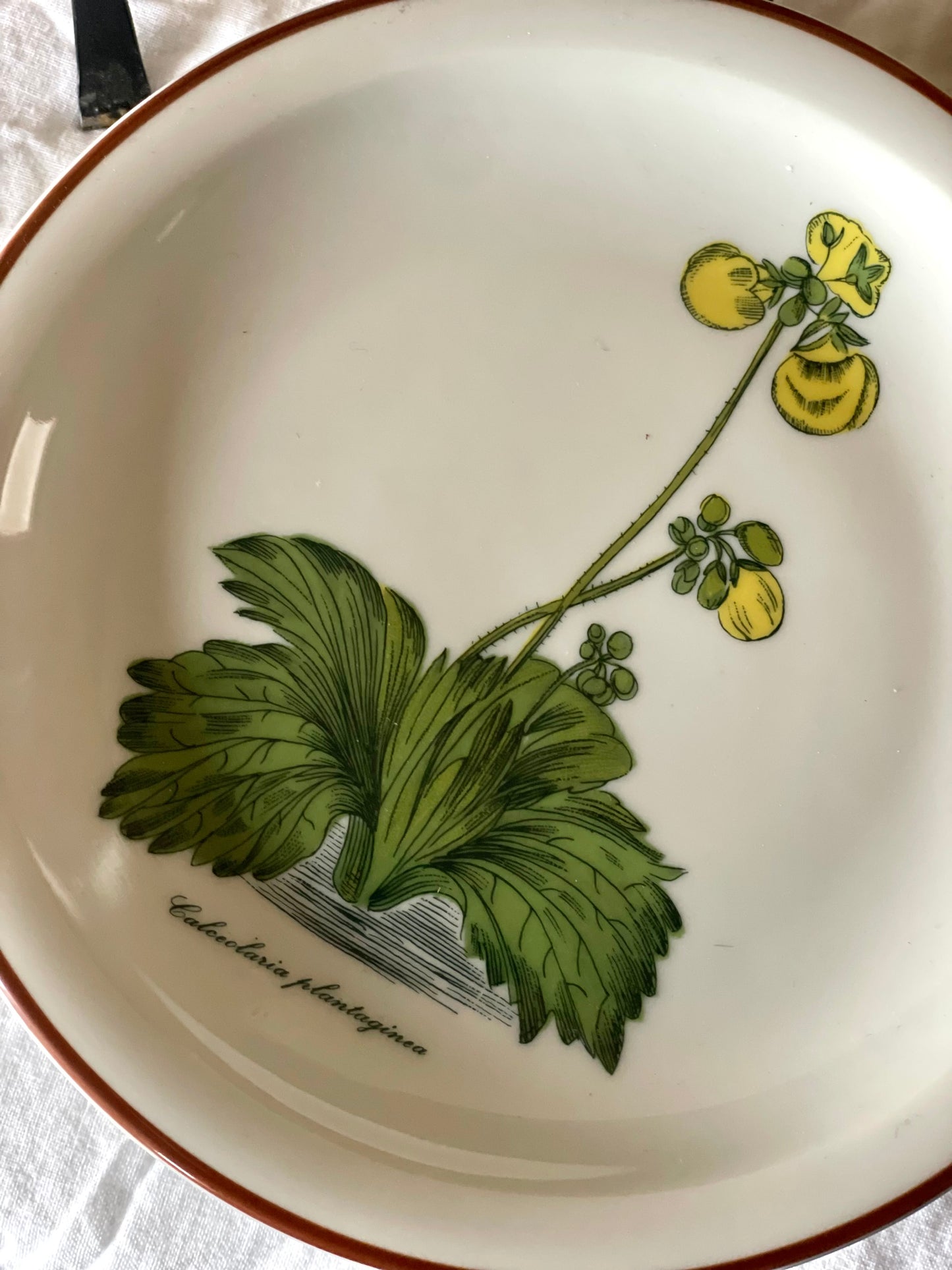 Farfurie florală din porțelan