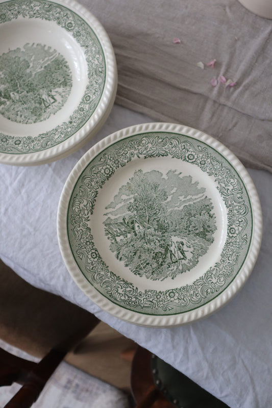 Farfurii vintage din ceramică-English Countryside